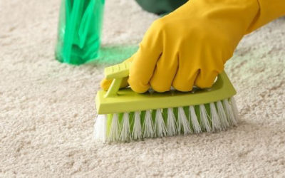 Why You Should Always Keep Your Carpets Clean