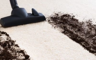 How Much Does a Carpet Cleaner Cost in Melbourne?
