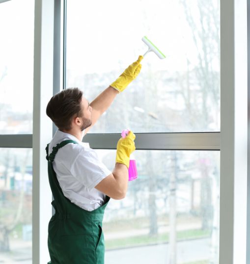 Excellence in Window Cleaning