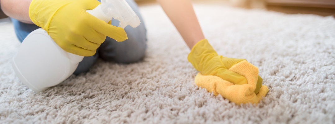 How Can You Keep Your Carpets Clean?<br />
