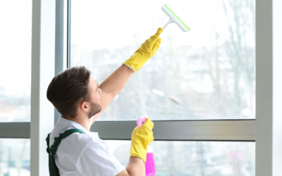 Best Tips and Techniques For Cleaning Windows
