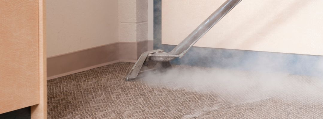 Steam carpet cleaning 