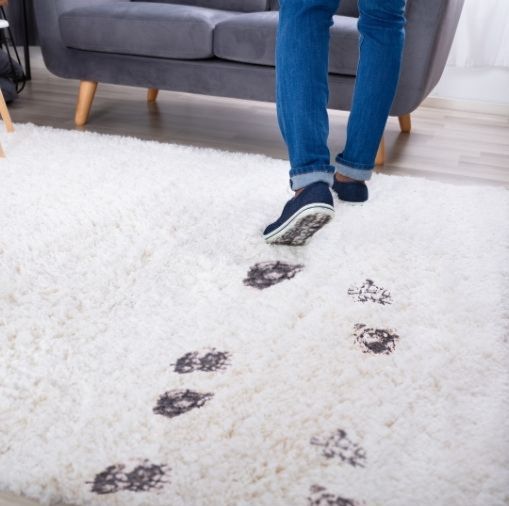 Spotless And Dust Free Rugs