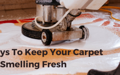 Best Ways To Keep Your Carpet Smelling Fresh