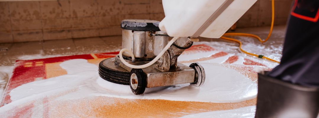 DIY vs. Professional Carpet Cleaning: Which Is Right for You?
