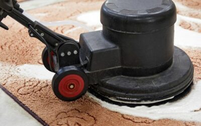 How Much Does Carpet Cleaning Cost?