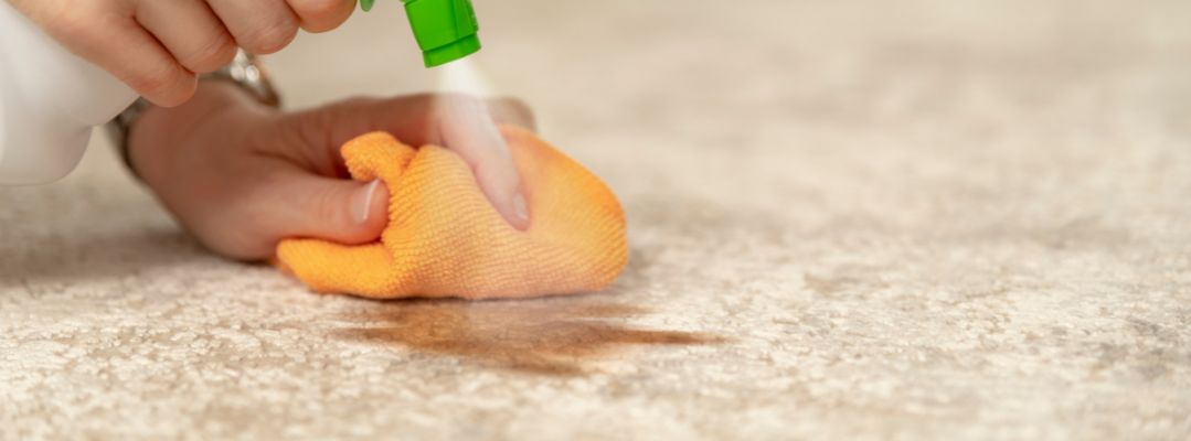 How to Remove Paint Stains from Your Carpet